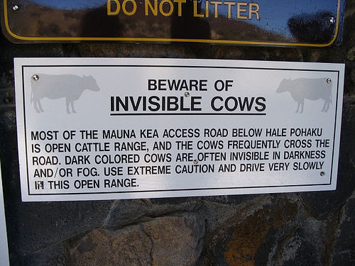 invisible cows.jpg (53 KB)